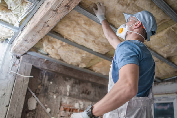 Best Insulation Maintenance and Repair in Franklin Grove, IL