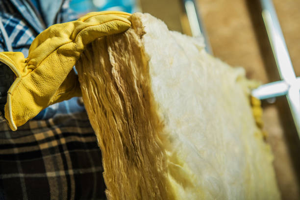 Best Geographic-Specific Insulation Services in Franklin Grove, IL
